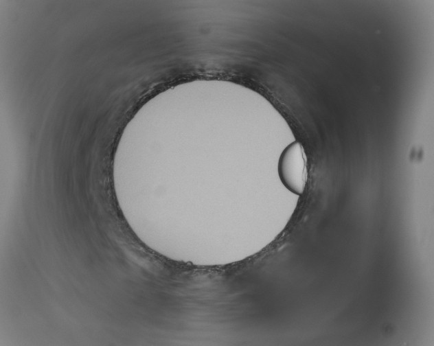 X0000113020865200909171451