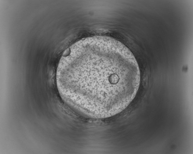 X0000113020866200909171451