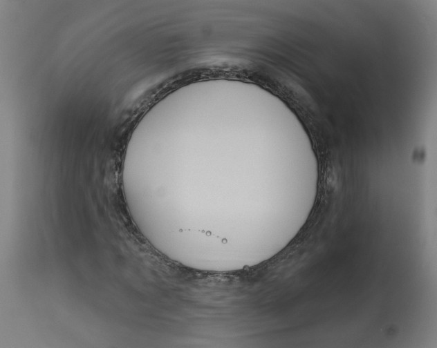 X0000113020869200909171451