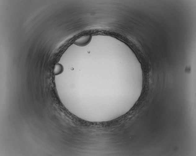 X0000113020872200909171451