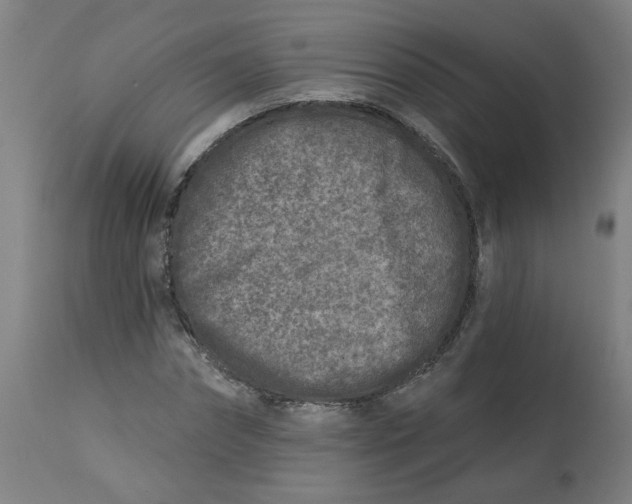 X0000113020874200909171451