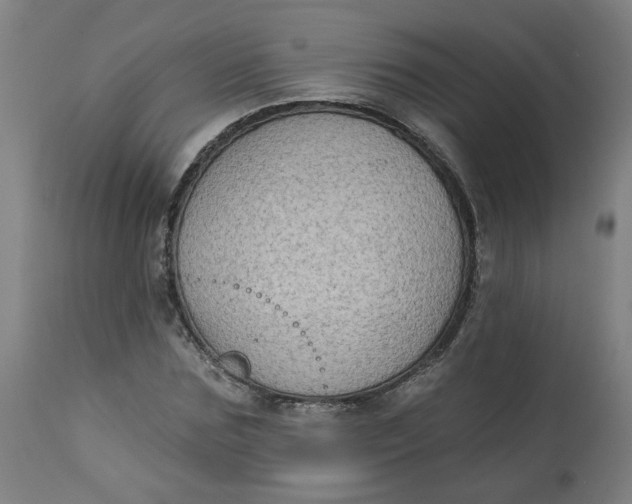 X0000113020875200909171451