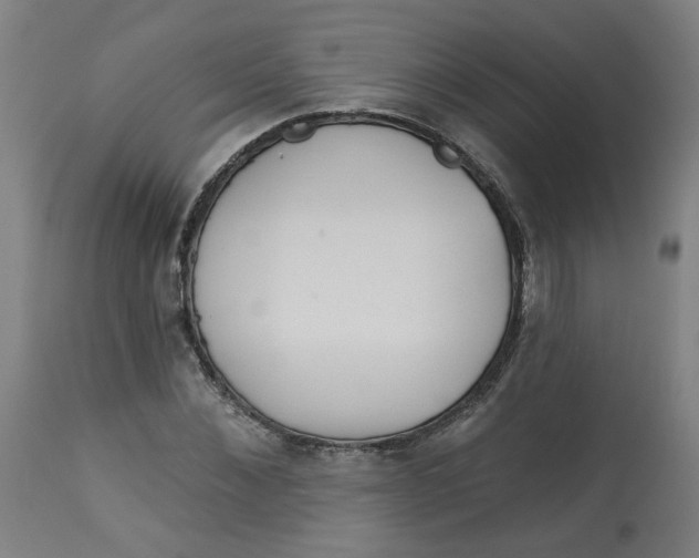 X0000113020876200909171451