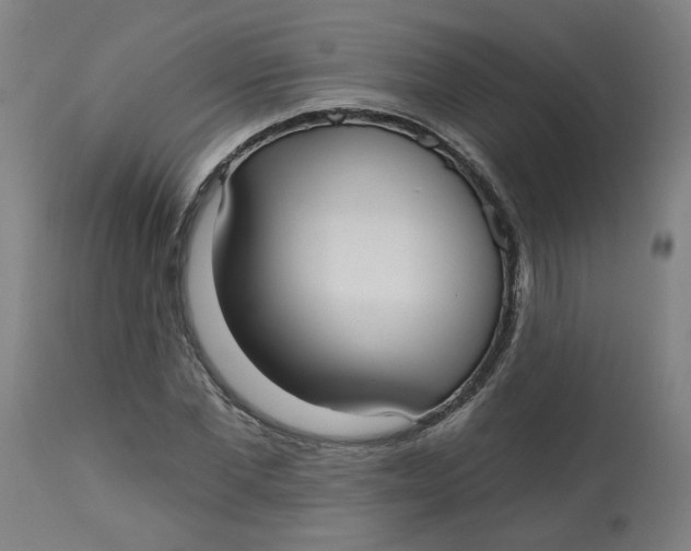 X0000113020877200909171451