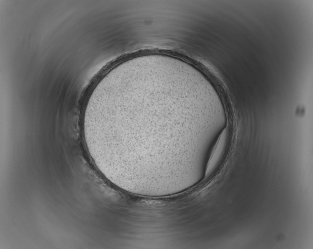 X0000113020878200909171451