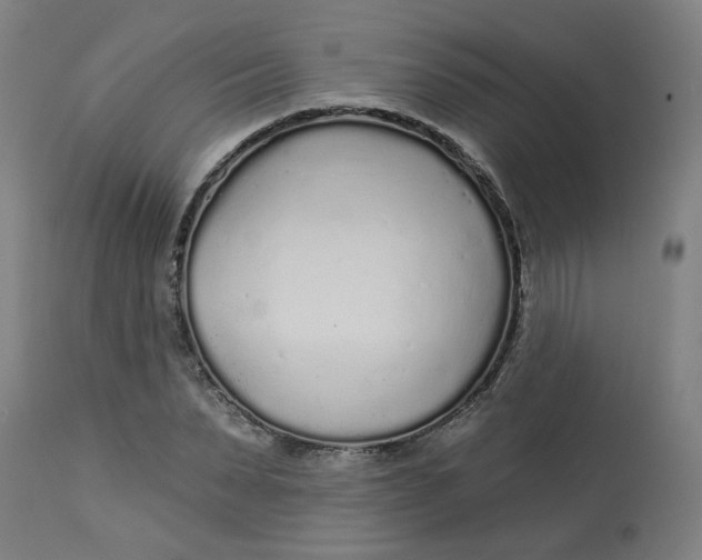 X0000113020879200909171451