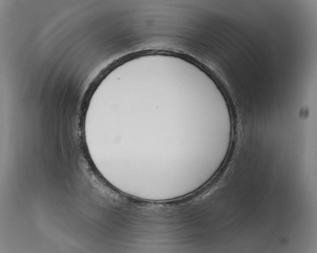 X0000113020880200909171451