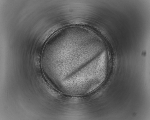 X0000113020881200909171451