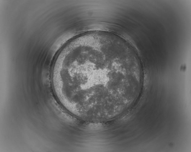 X0000113020882200909171451