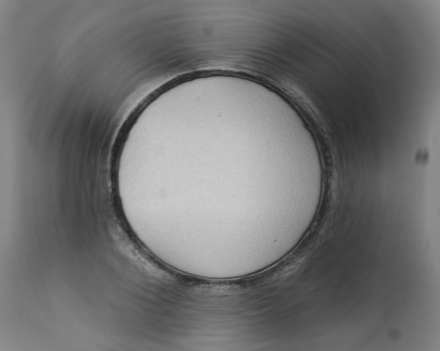 X0000113020884200909171451