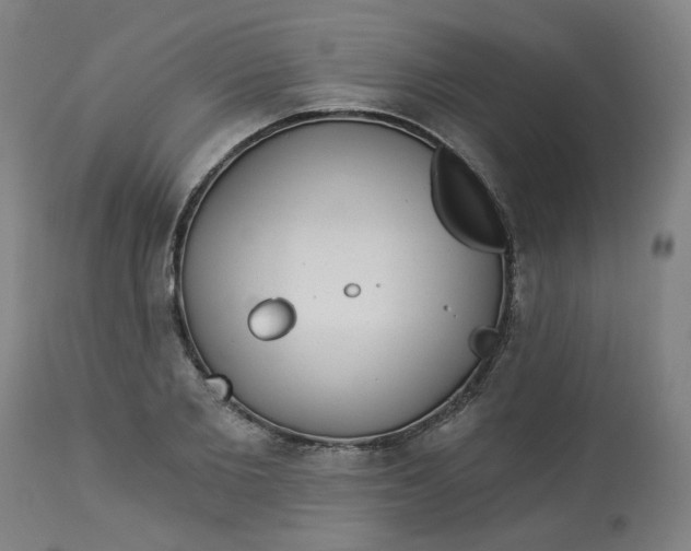 X0000113020885200909171451