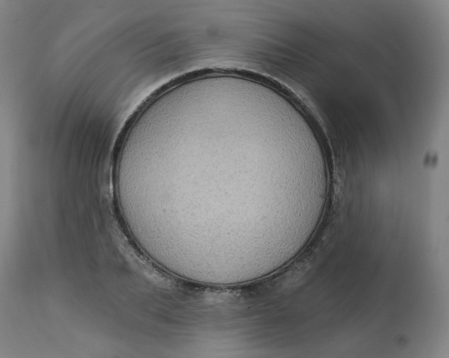 X0000113020887200909171451