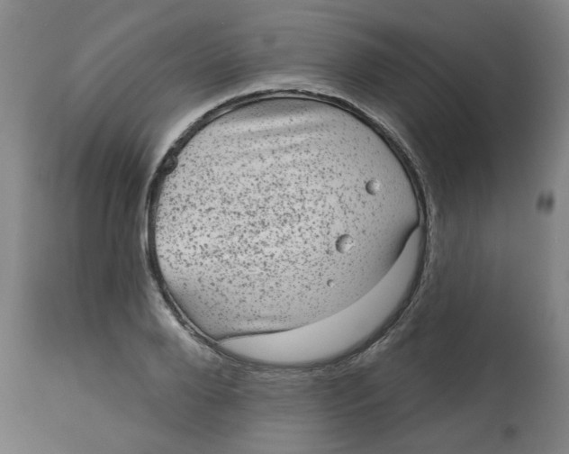 X0000113020888200909171451