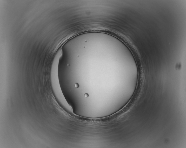 X0000113020889200909171451