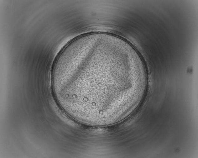 X0000113020891200909171451