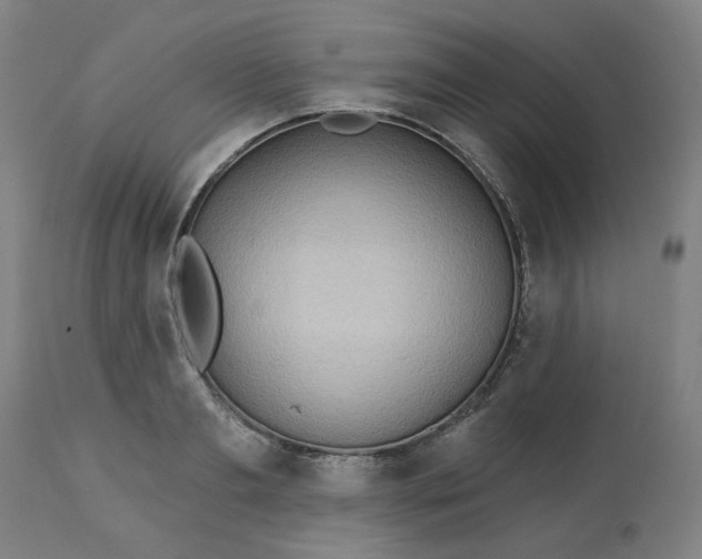 X0000113020893200909171451