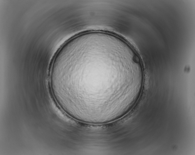 X0000113020895200909171450