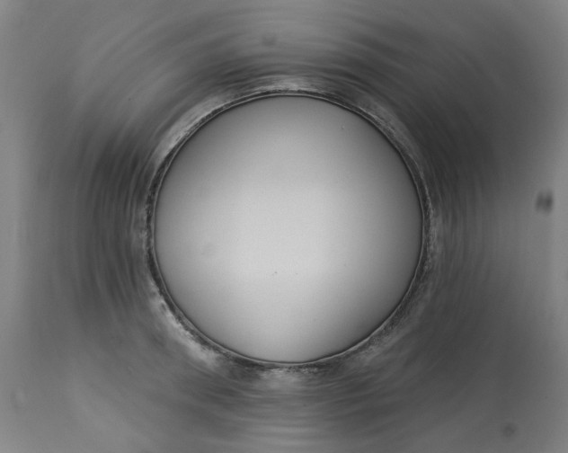 X0000113020898200909171450