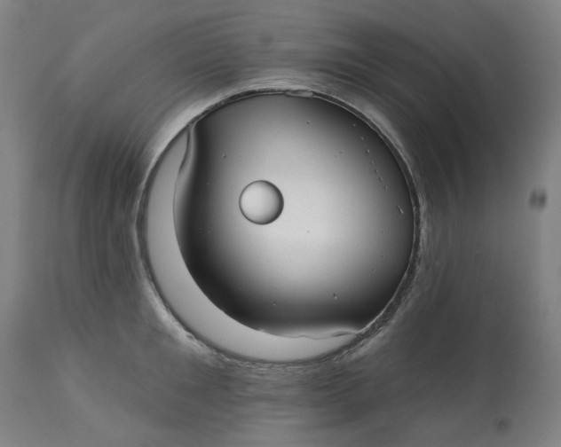 X0000113020901200909171450