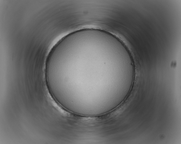 X0000113020902200909171450