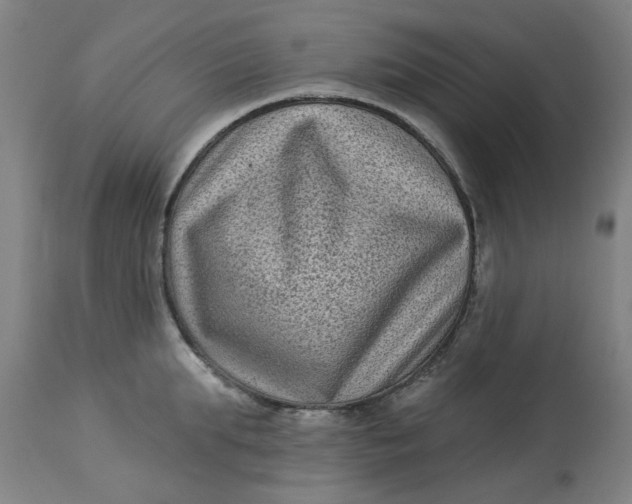 X0000113020903200909171450