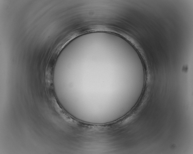 X0000113020905200909171450