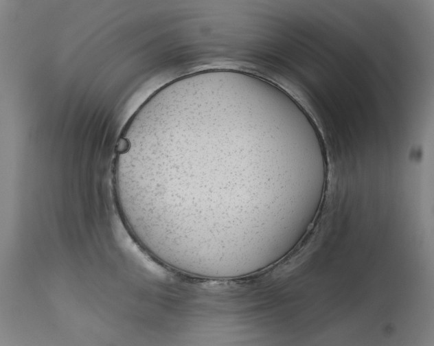 X0000113020906200909171450