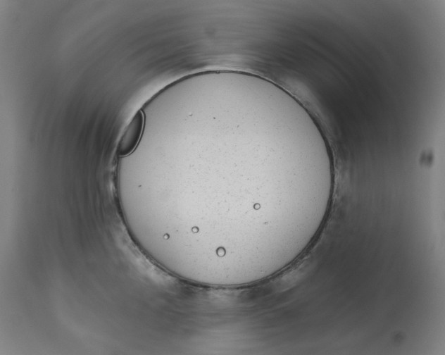 X0000113020908200909171450