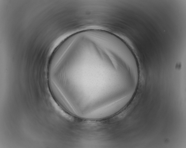 X0000113020910200909171450