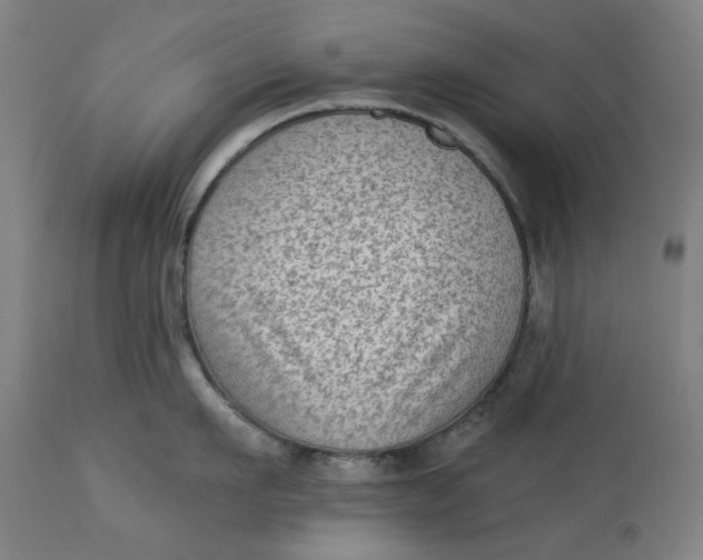 X0000113020911200909171450