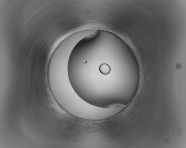 X0000113020912200909171450