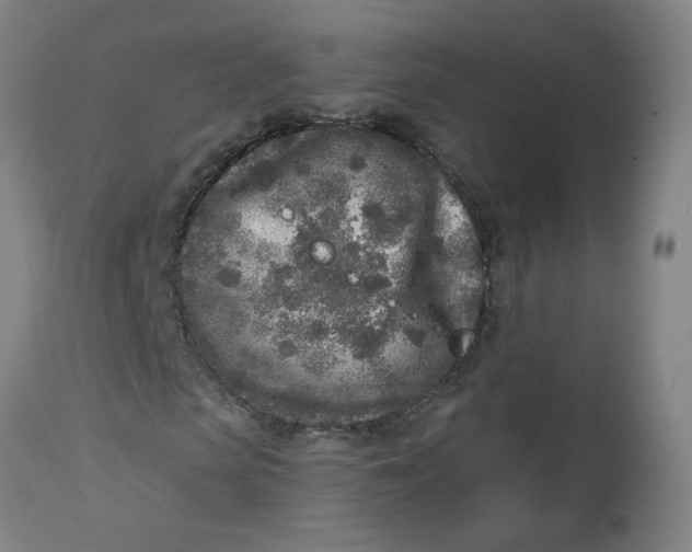 X0000113020913200909171450