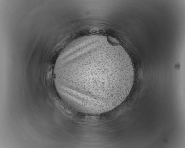 X0000113020914200909171450