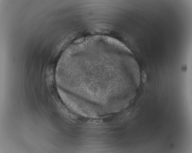 X0000113020915200909171450