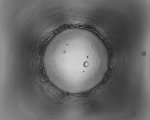 X0000113020917200909171450