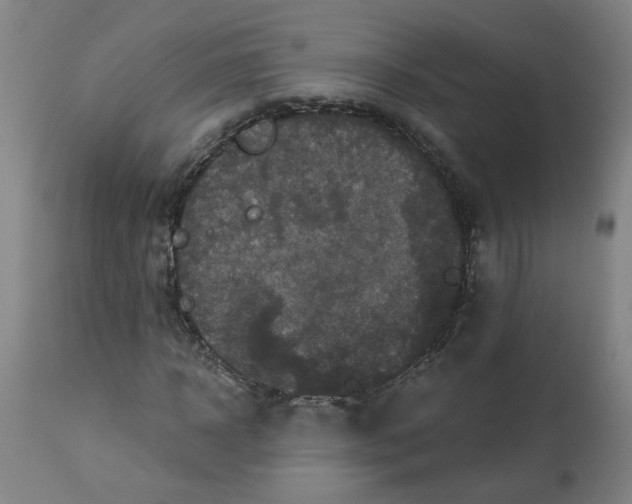 X0000113020918200909171450