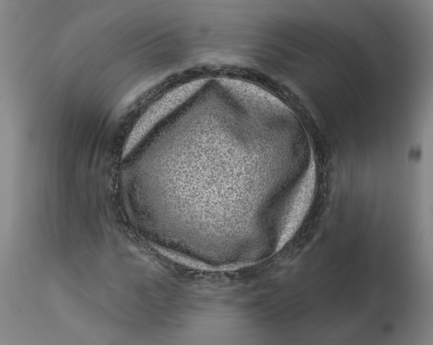 X0000113020919200909171450