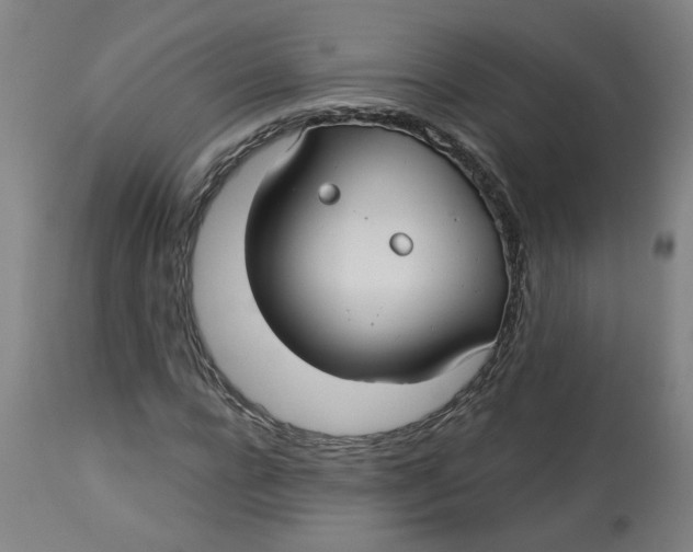 X0000113020920200909171450