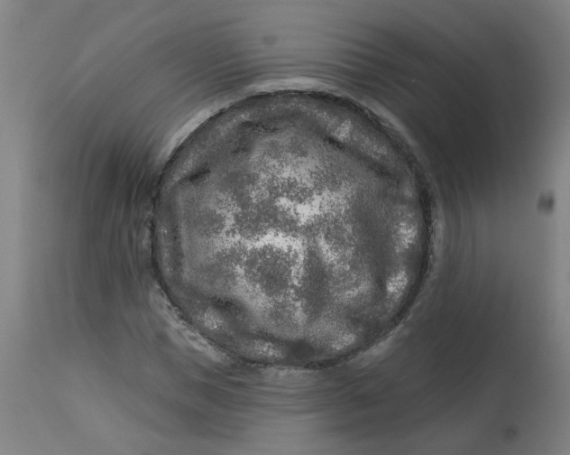 X0000113020921200909171450