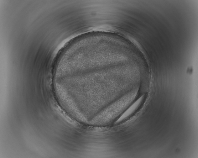 X0000113020923200909171450