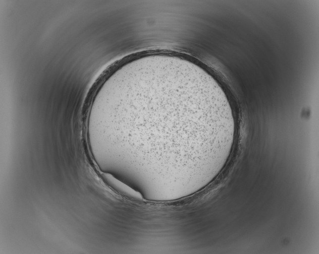 X0000113020924200909171450