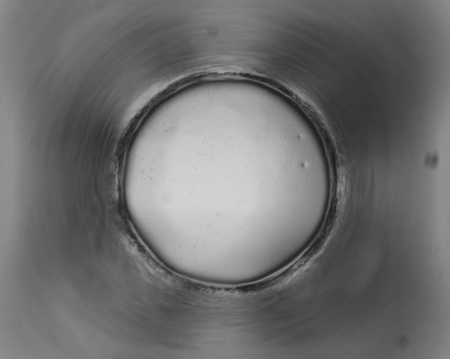 X0000113020925200909171450