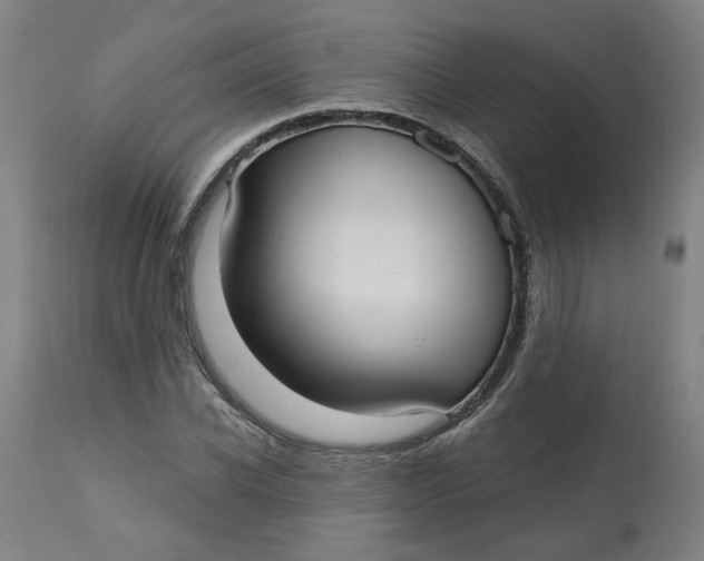 X0000113020926200909171450