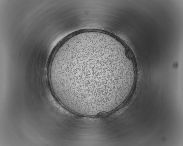 X0000113020928200909171450