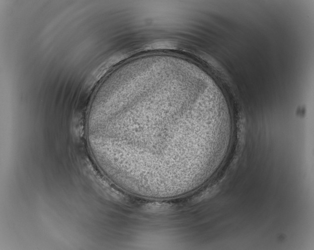 X0000113020929200909171450