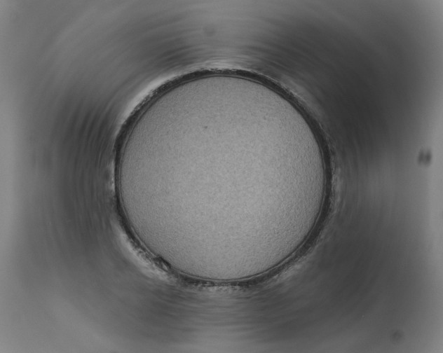 X0000113020934200909171450