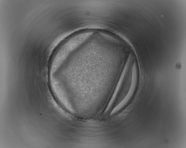 X0000113020935200909171450