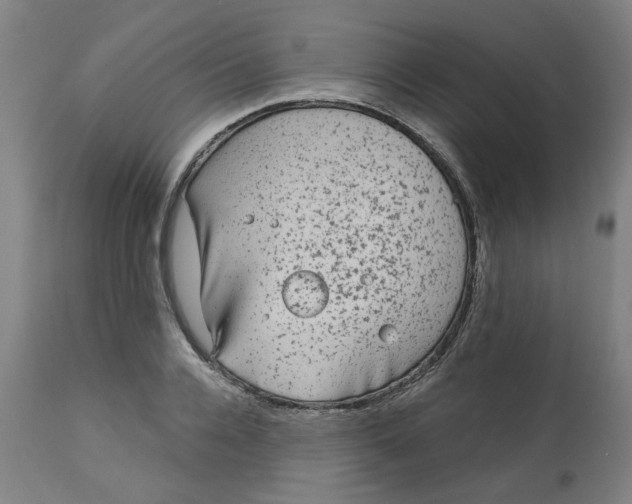 X0000113020936200909171450