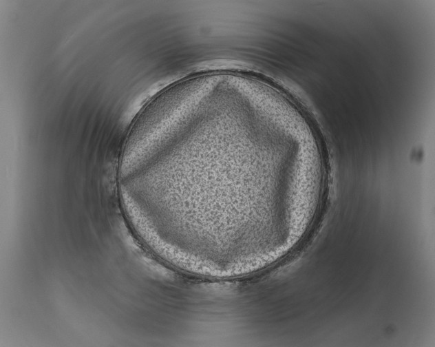 X0000113020937200909171450