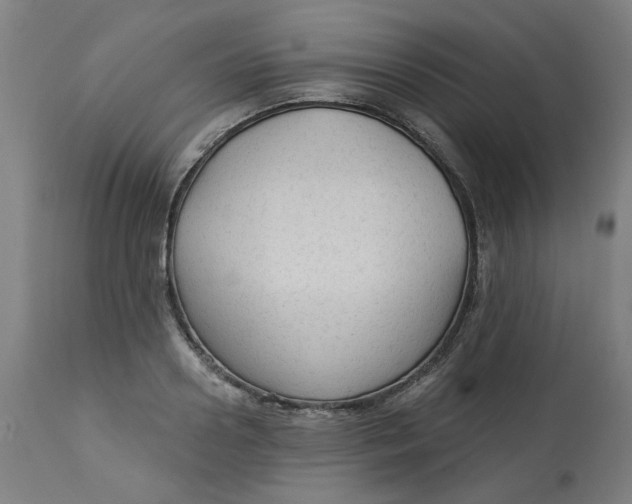 X0000113020938200909171450